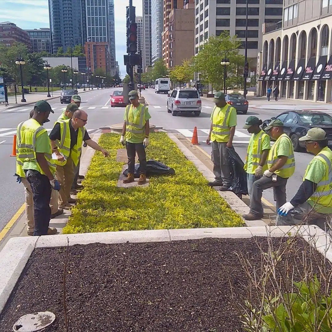 A Safe Haven - Thumbnail 9