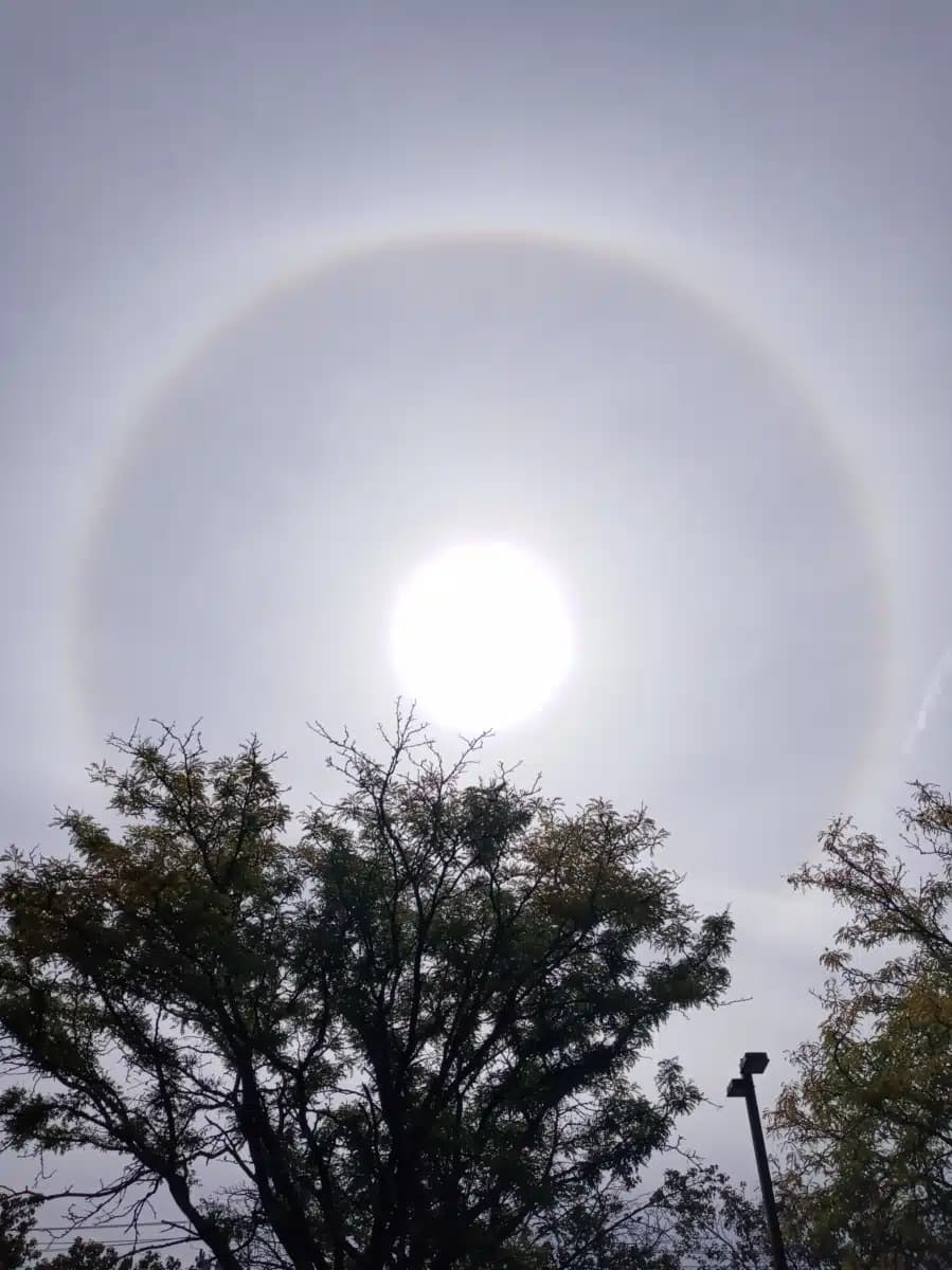 APT Foundation Inc - Thumbnail 2