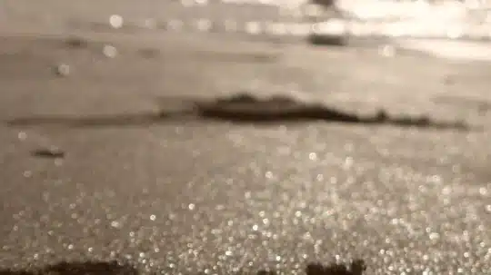 Access Recovery Solutions - Thumbnail 8