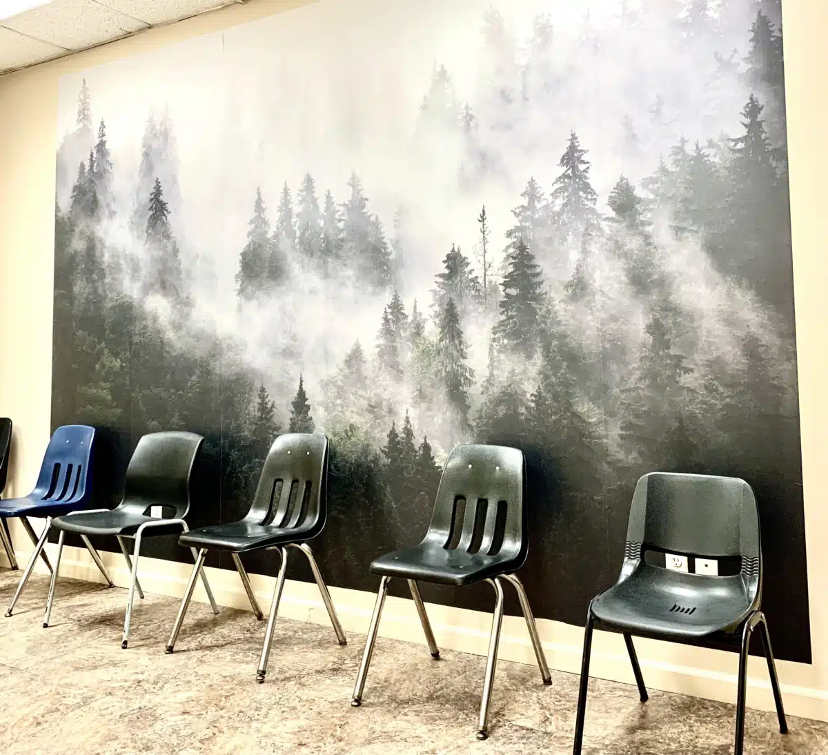 American Habitare and Counseling Inc