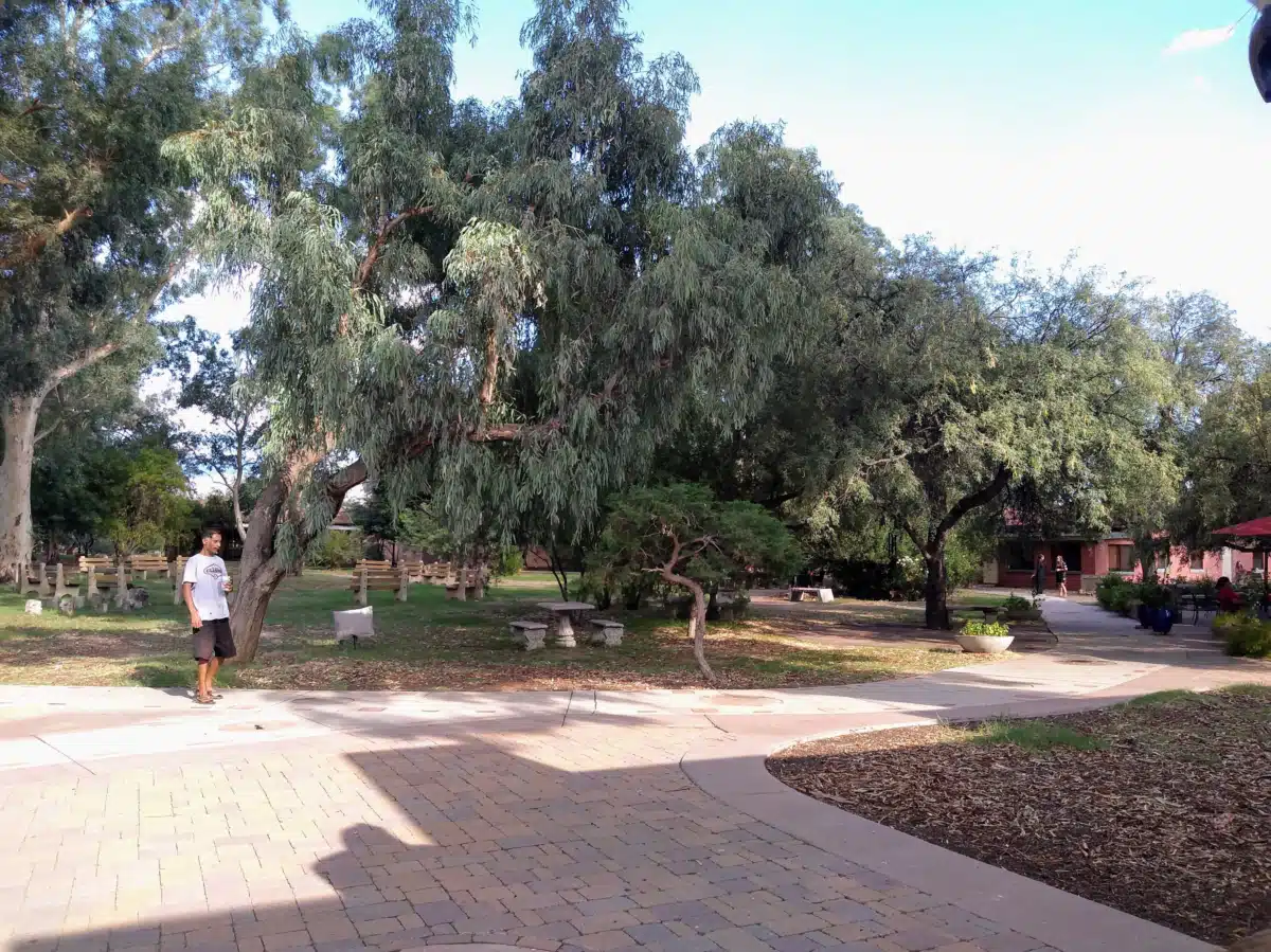 Amity Foundation - Thumbnail 2