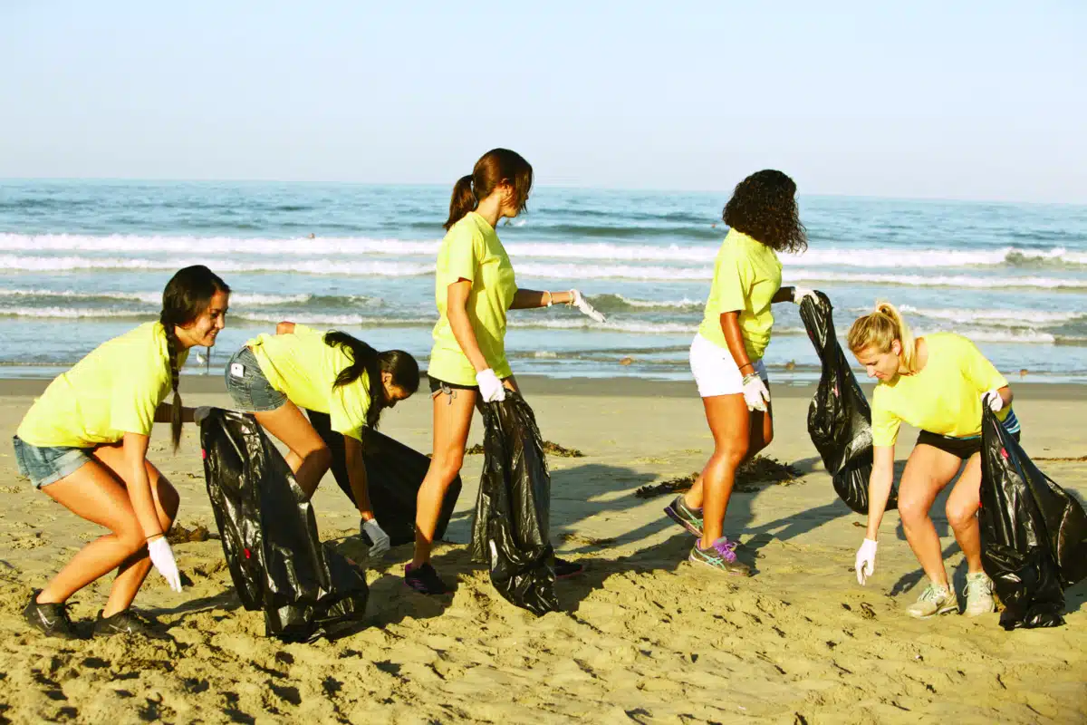 Asana Recovery - Thumbnail 7