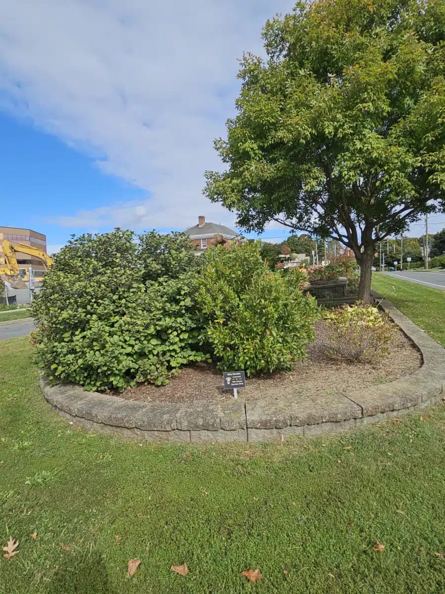 Berkshire Medical Center - Thumbnail 2