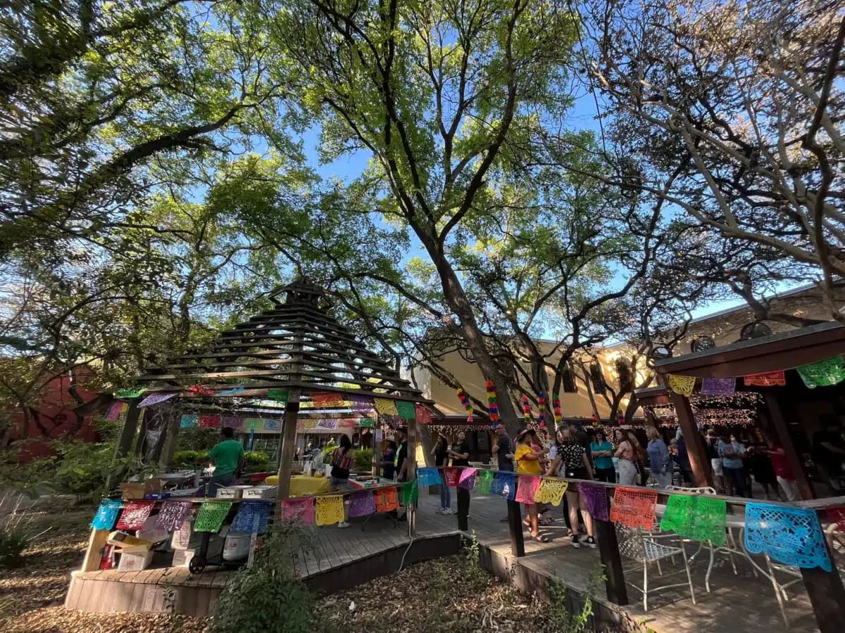 Blue Heron Recovery - Thumbnail 7