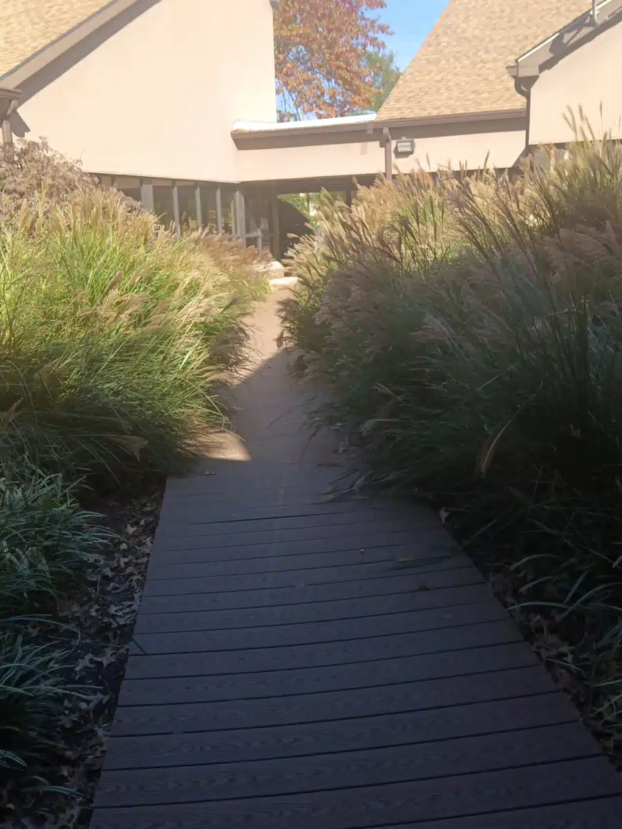 Brandywine Counseling and - Thumbnail 7