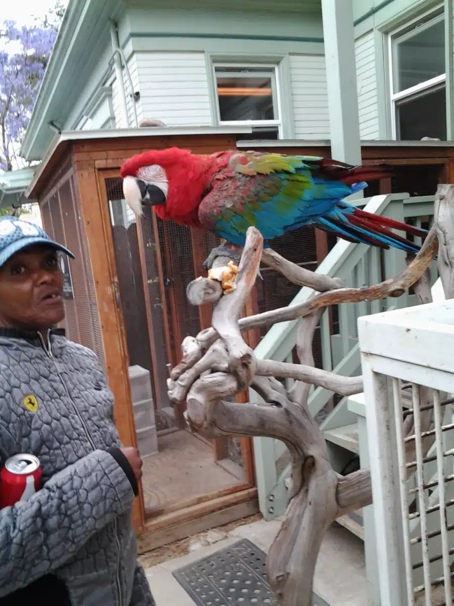 CRASH Inc rehabilitation center in San Diego, CA