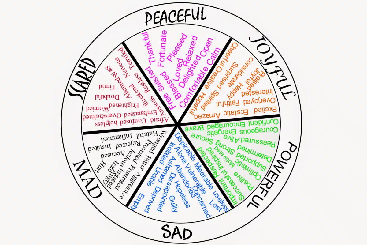 Calm Center - Thumbnail 8