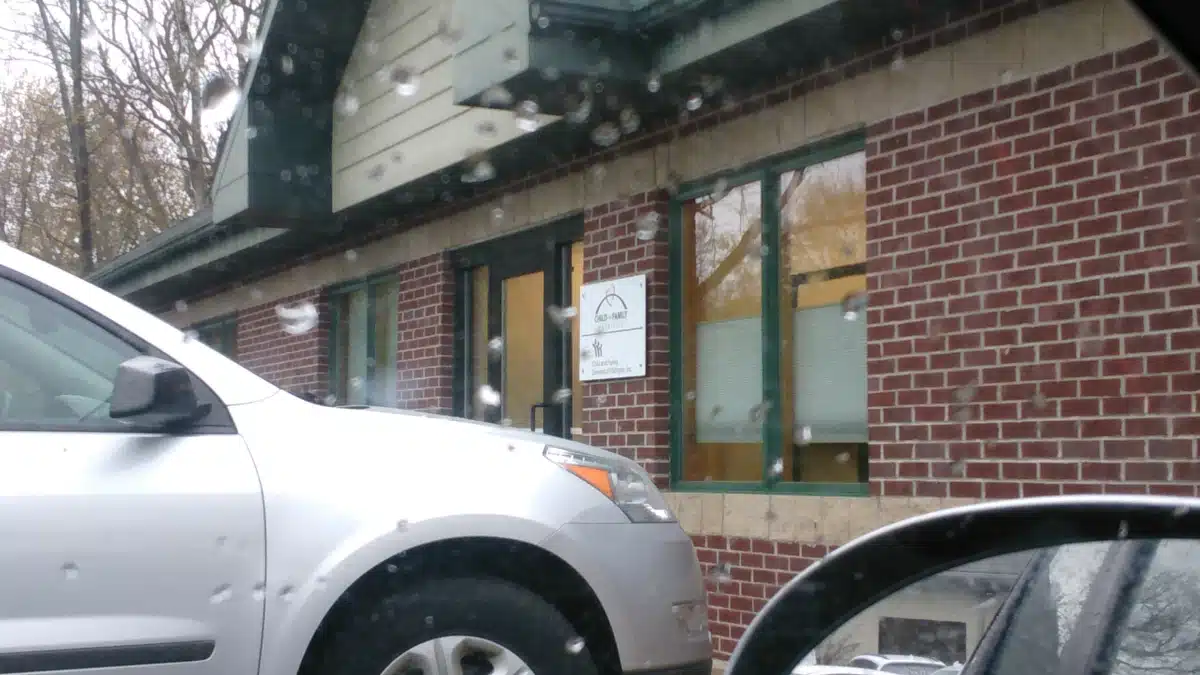 Child and Family Charities - Thumbnail 8