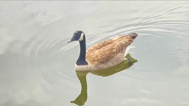 Clearview at Riverview Reg Med Ctr - Thumbnail 9