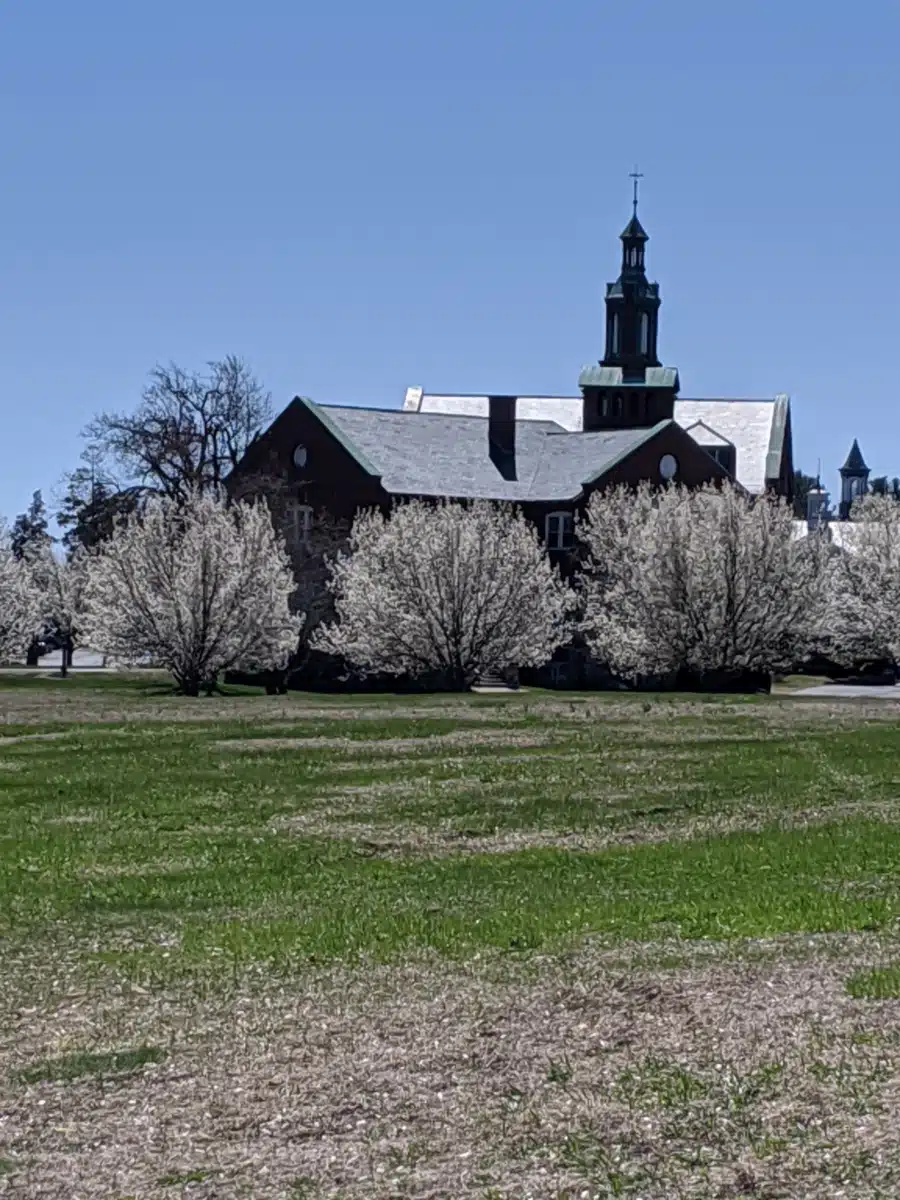 Conexiones - Thumbnail 7