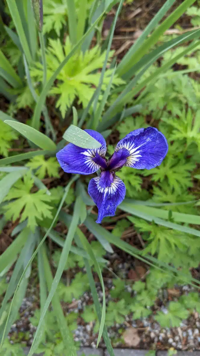 Cook Inlet Tribal Council Inc - Thumbnail 5