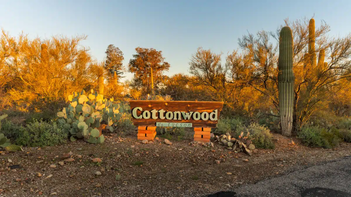Cottonwood Tucson - Thumbnail 2