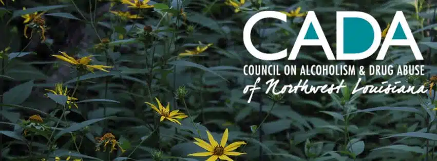 Council on Alcoholism and DA of - Preview