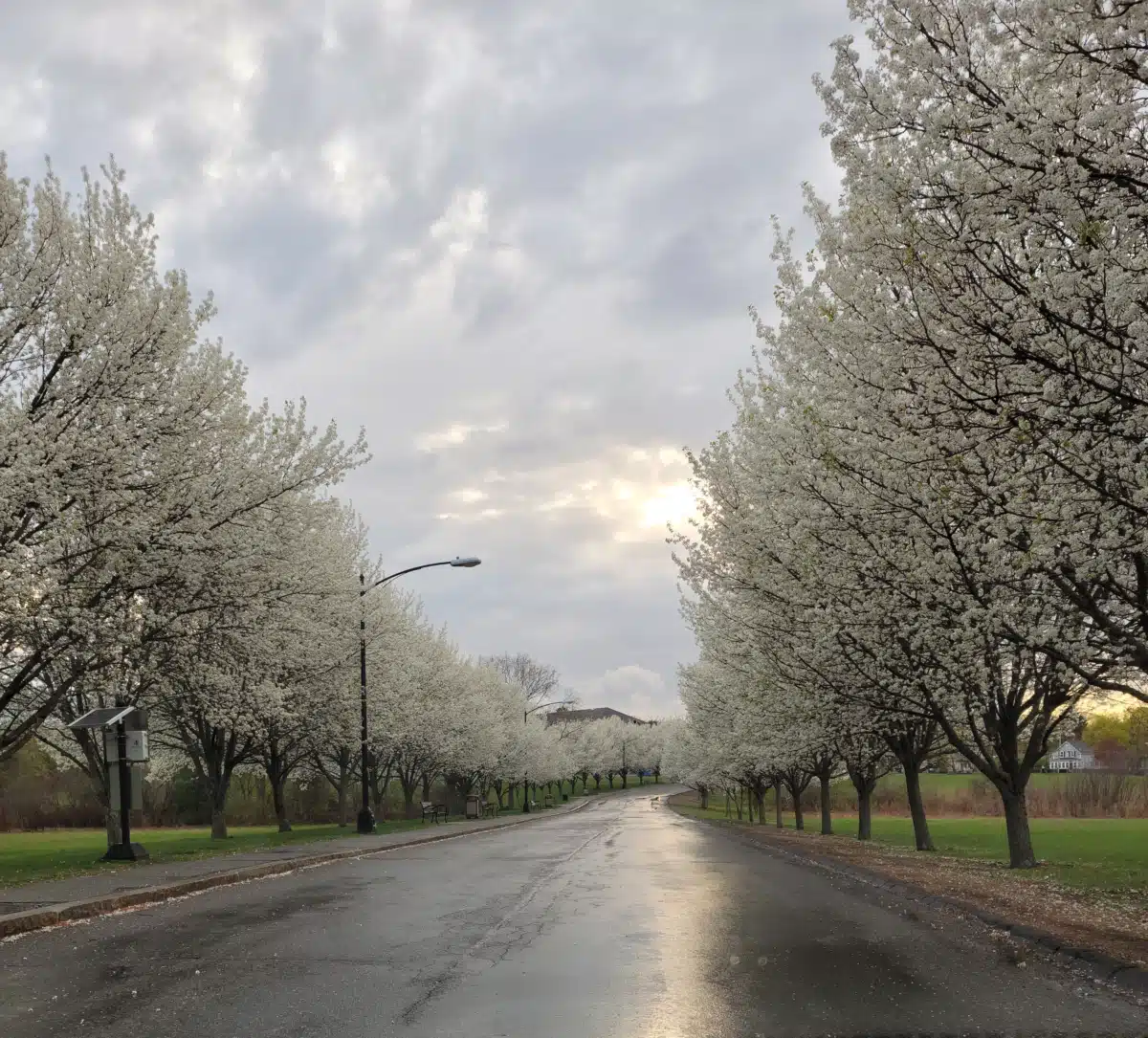 Danvers Trt Center - Thumbnail 2