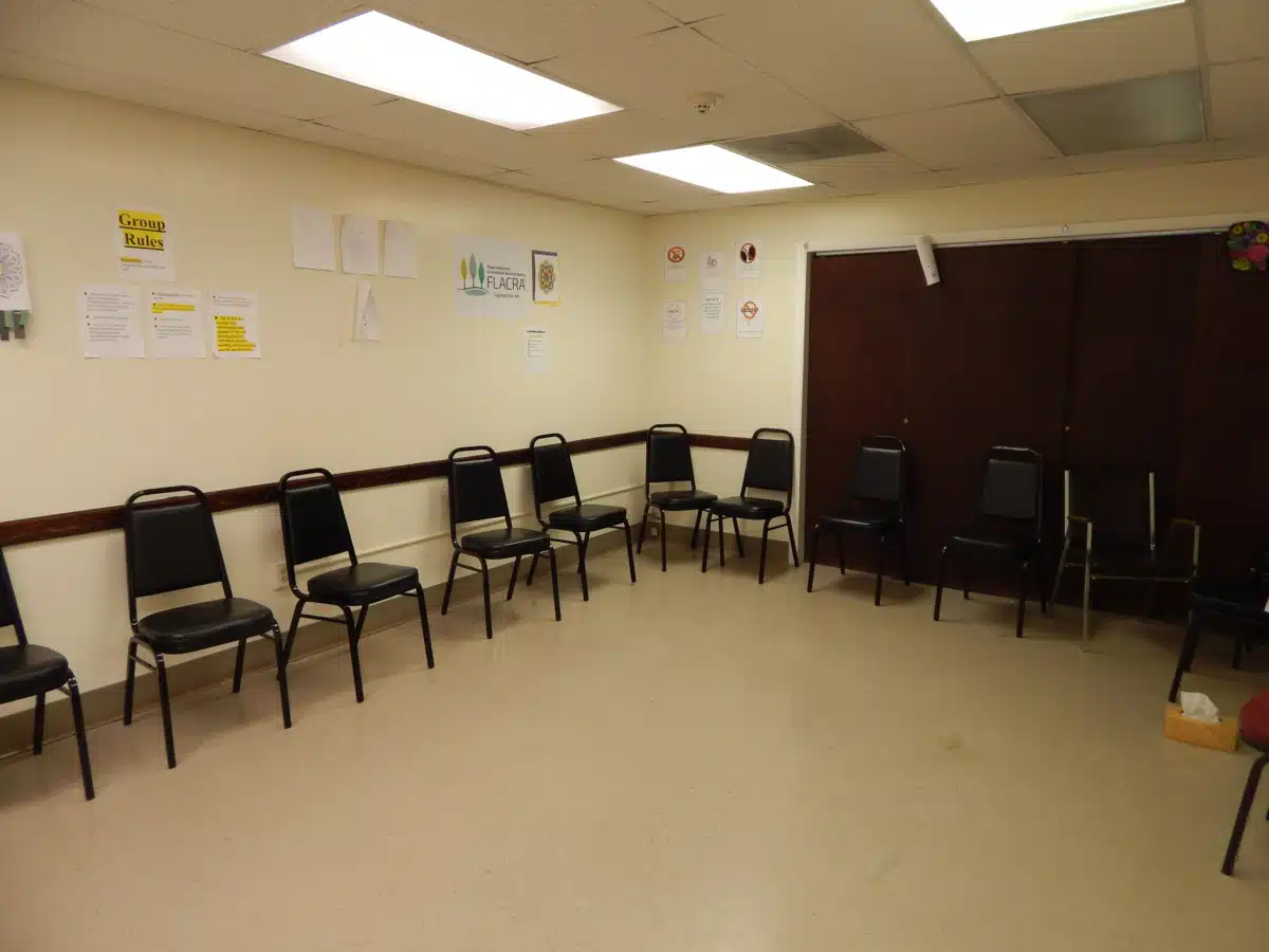 Finger Lakes Area Counseling and rehabilitation center in Watkins Glen, NY