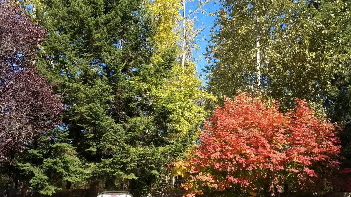 Harvest Home - Thumbnail 3