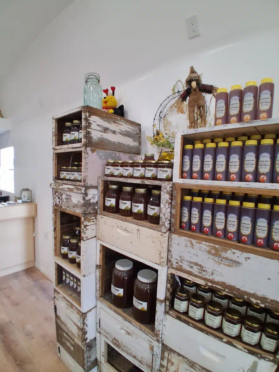 Horizon Health and Wellness - Thumbnail 3