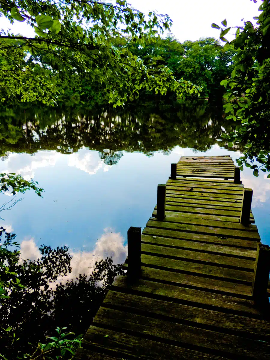 Hudson Health Services - Thumbnail 3