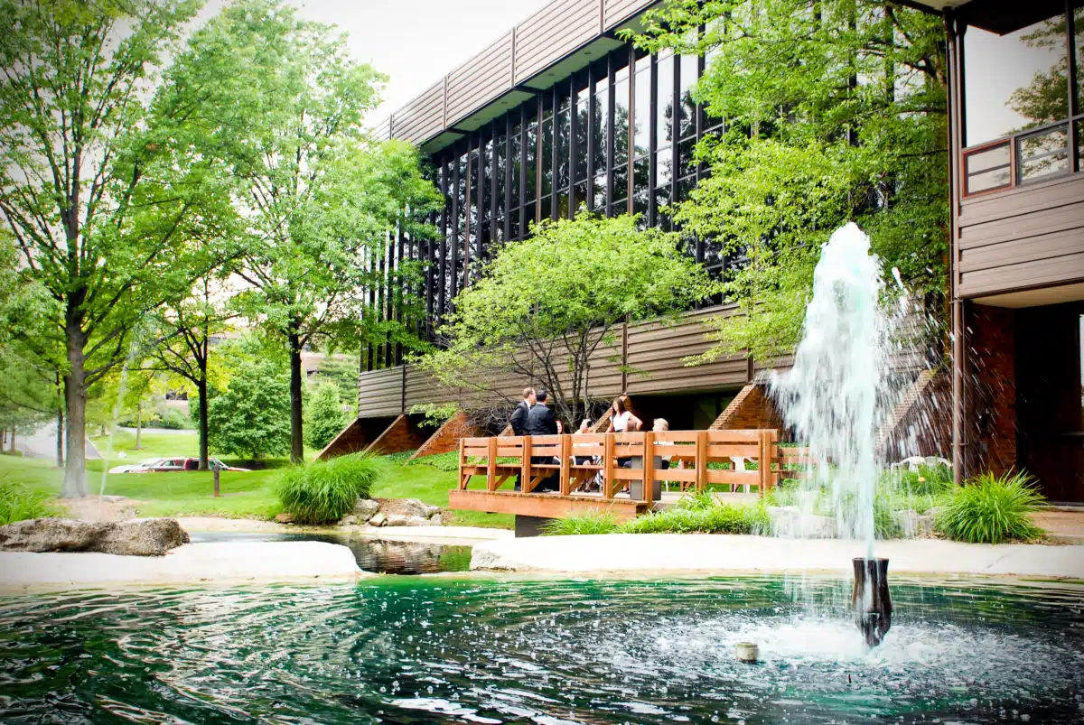 INSynergy Treatment Program - Preview