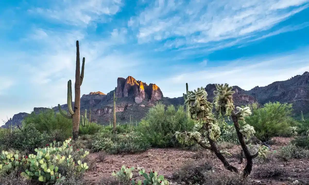 In Balance Counseling Inc rehabilitation center in Tucson, AZ