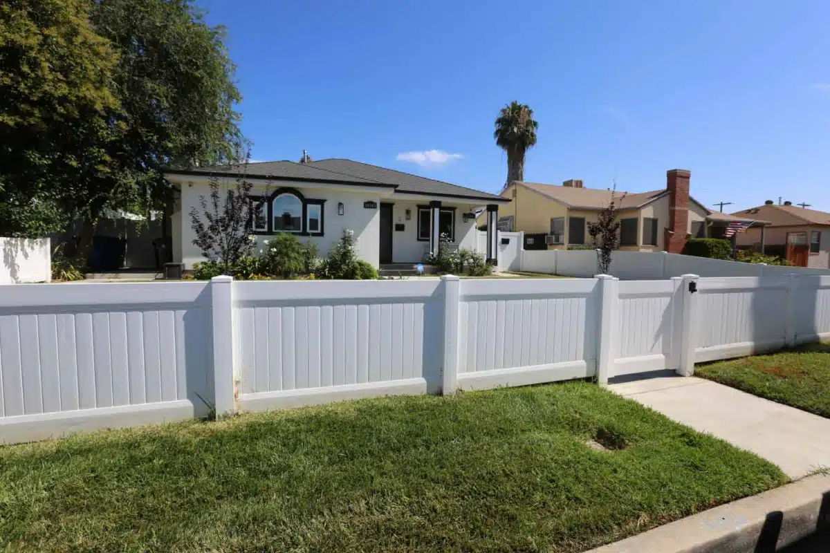 Lion Recovery - Thumbnail 4