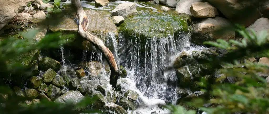 Milestones Ranch Malibu rehabilitation center in Malibu, CA