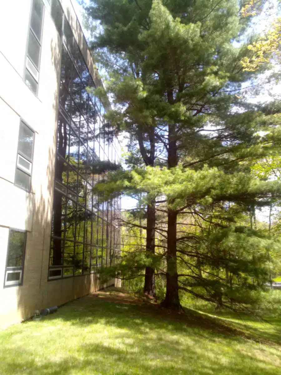 Montgomery County Dept Health/Human - Thumbnail 2