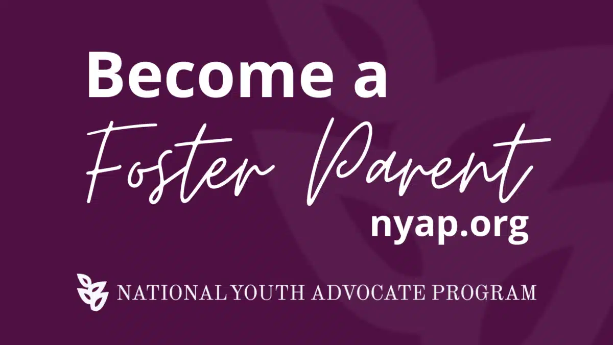 National Youth Advocate Program Inc - Thumbnail 9