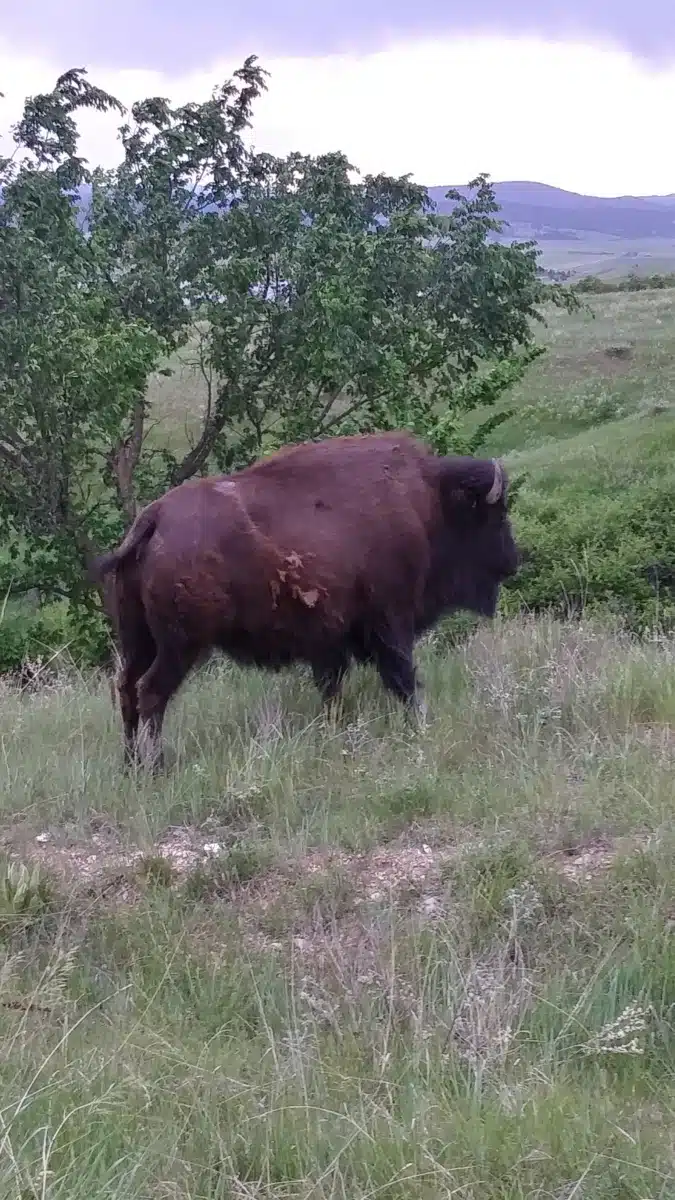 New Dawn Enterprises - Thumbnail 3