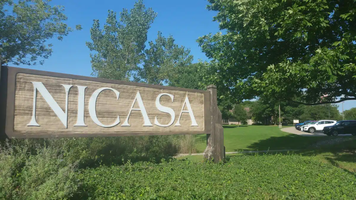 Nicasa NFP - Thumbnail 2