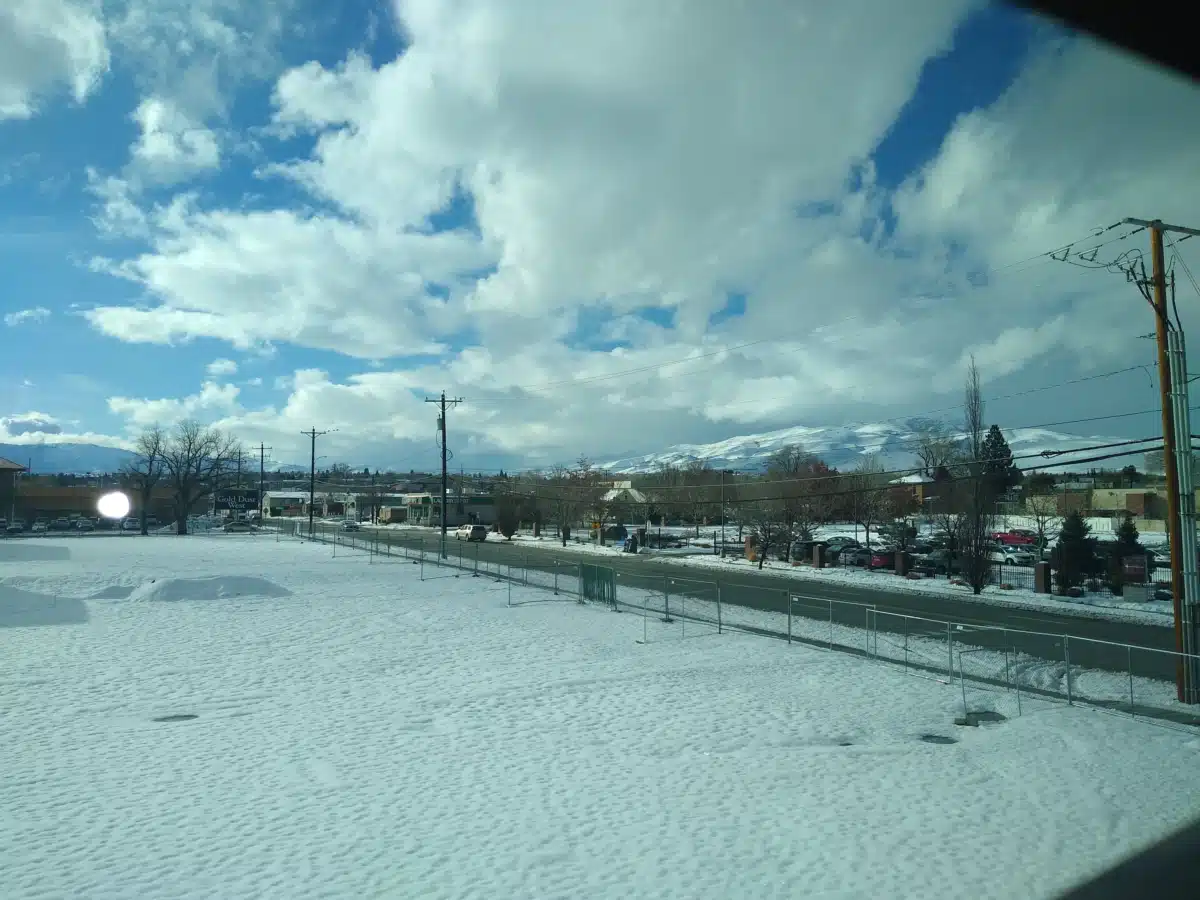 Northern Nevada Hopes - Thumbnail 10