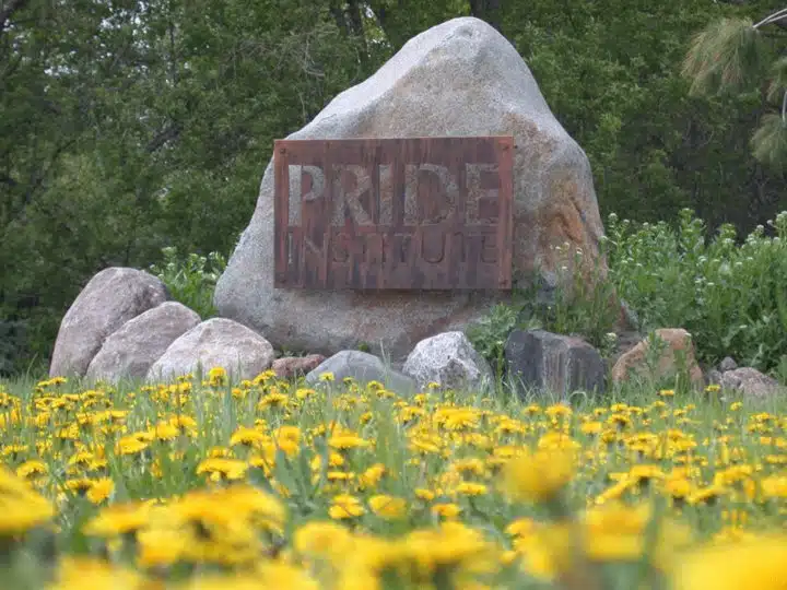 Pride Institute - Thumbnail 4