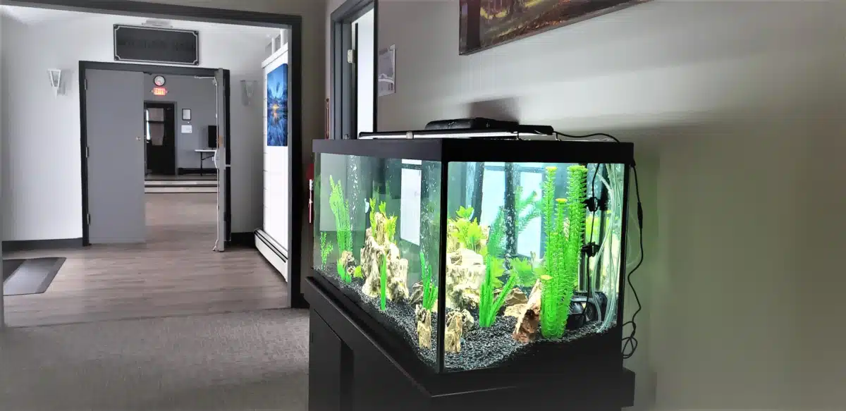 Quantum Behavioral Health Servs - Thumbnail 9