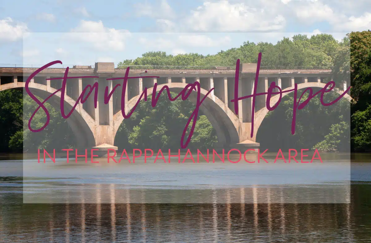 Rappahannock Area Comm Servs Board