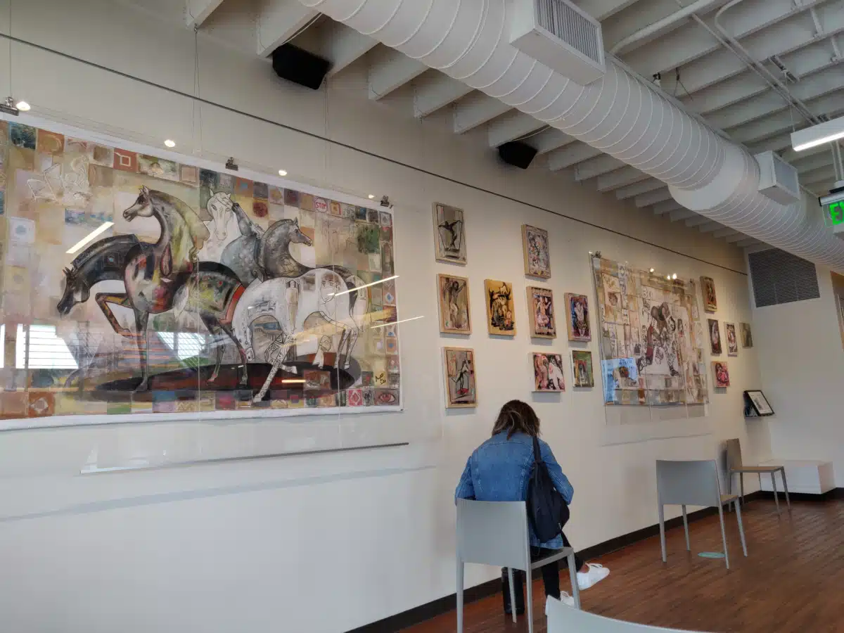 San Francisco AIDS Foundation - Thumbnail 5