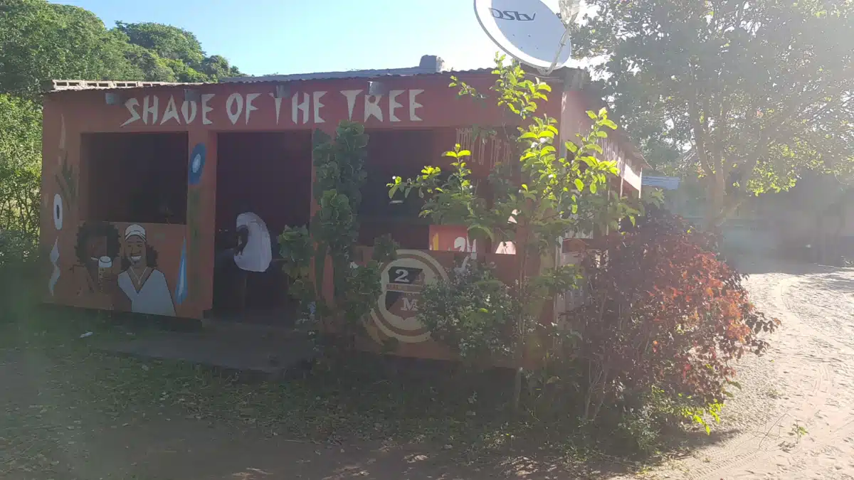 Shade of the Tree
