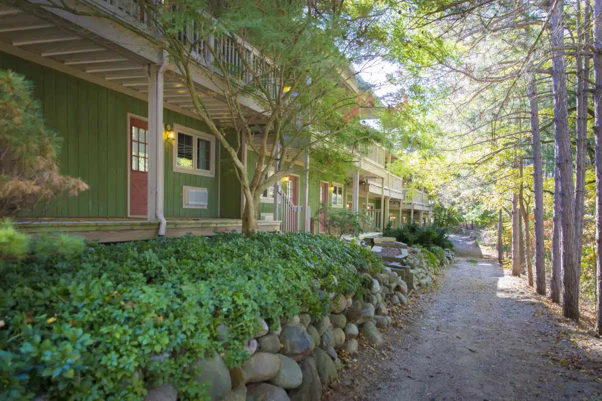 Skywood Recovery - Thumbnail 6