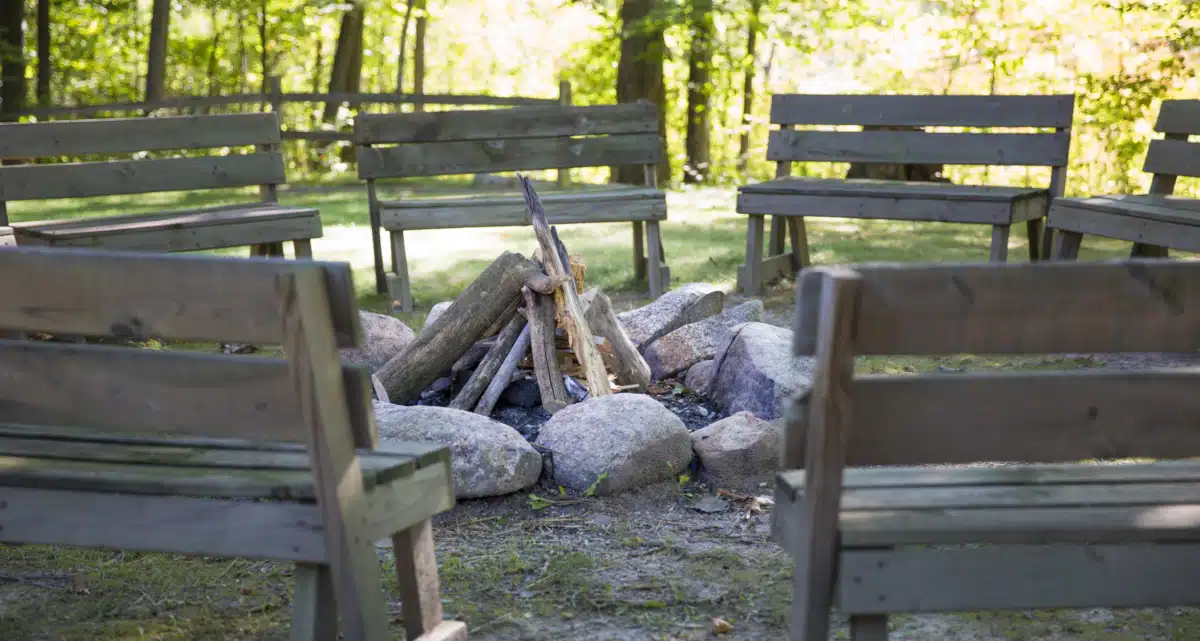 Skywood Recovery - Thumbnail 8