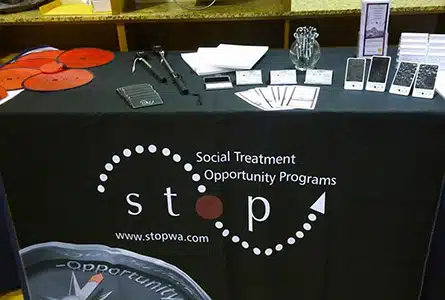 Social Treatment Opportunity Programs - Thumbnail 3
