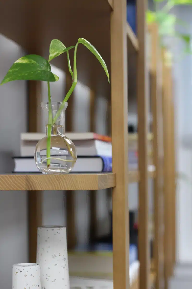 South Shore Recovery Home - Thumbnail 5