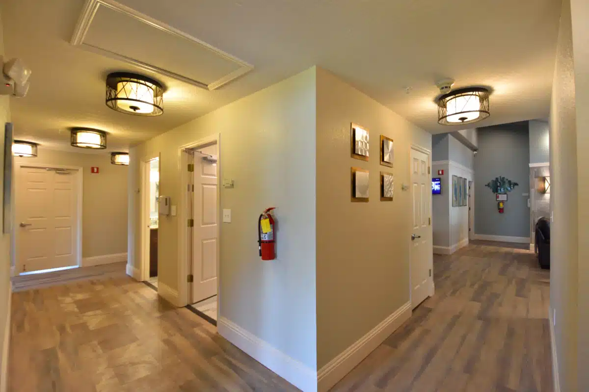 Spring Gardens Recovery - Thumbnail 4