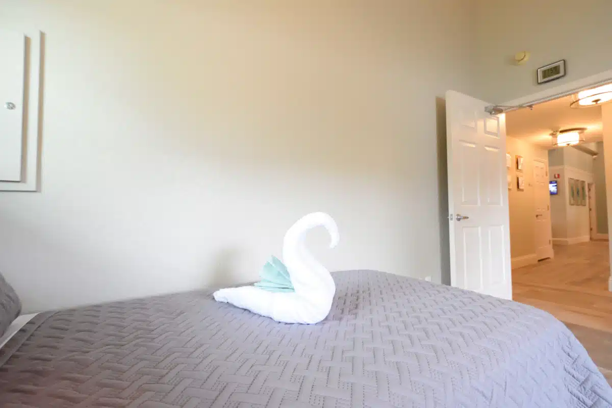 Spring Gardens Recovery - Thumbnail 7