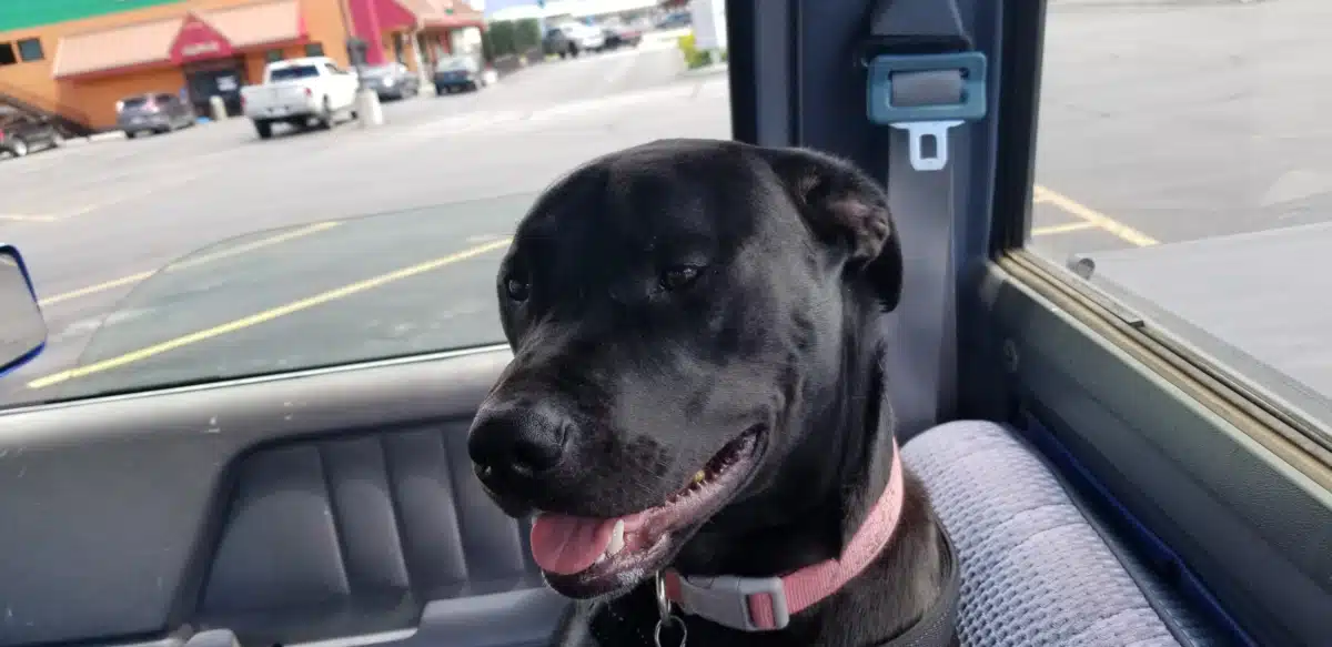 Stepping Stones Behavioral Health Serv - Thumbnail 6