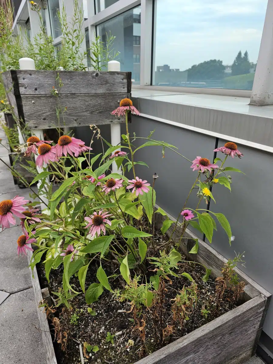 Syracuse VAMC - Thumbnail 10