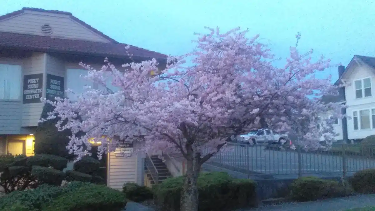 Tacoma Pierce County Health Department - Thumbnail 8