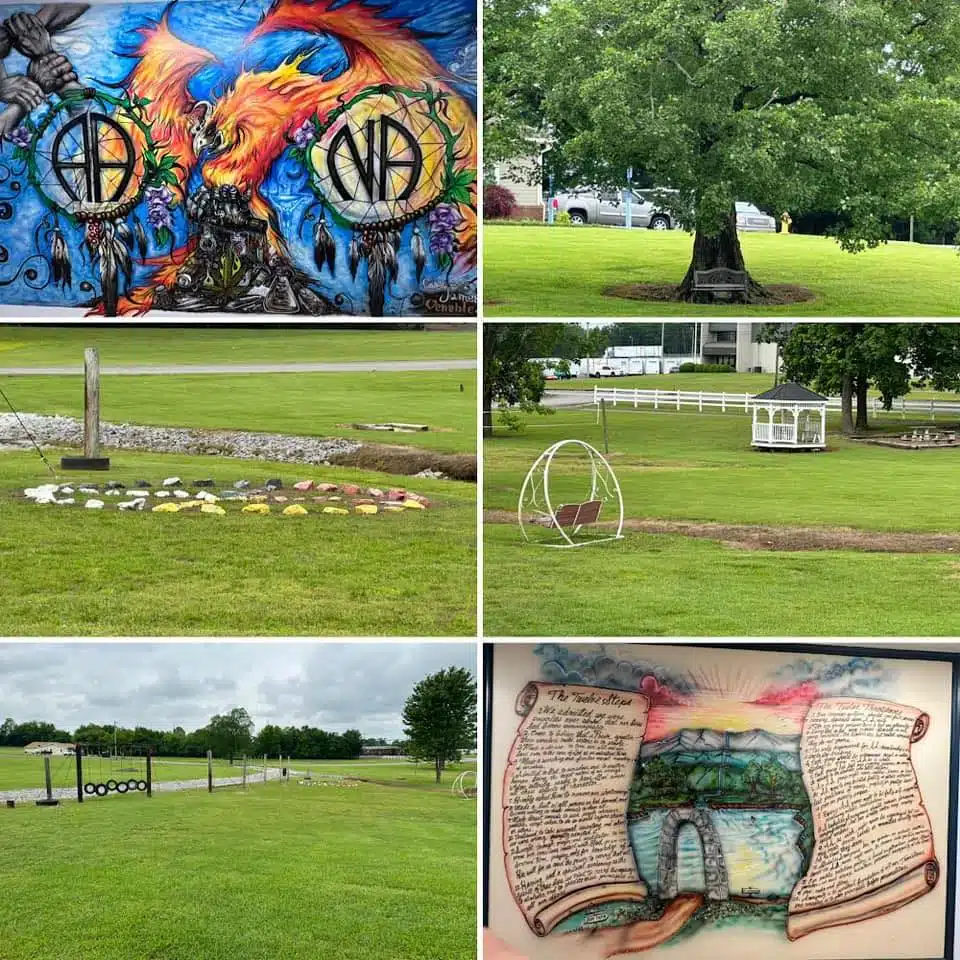 Tony Rice Center Inc - Thumbnail 3