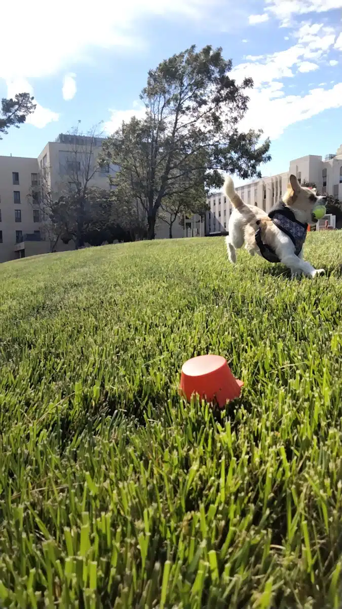 Veterans Affairs Medical Center - Thumbnail 5