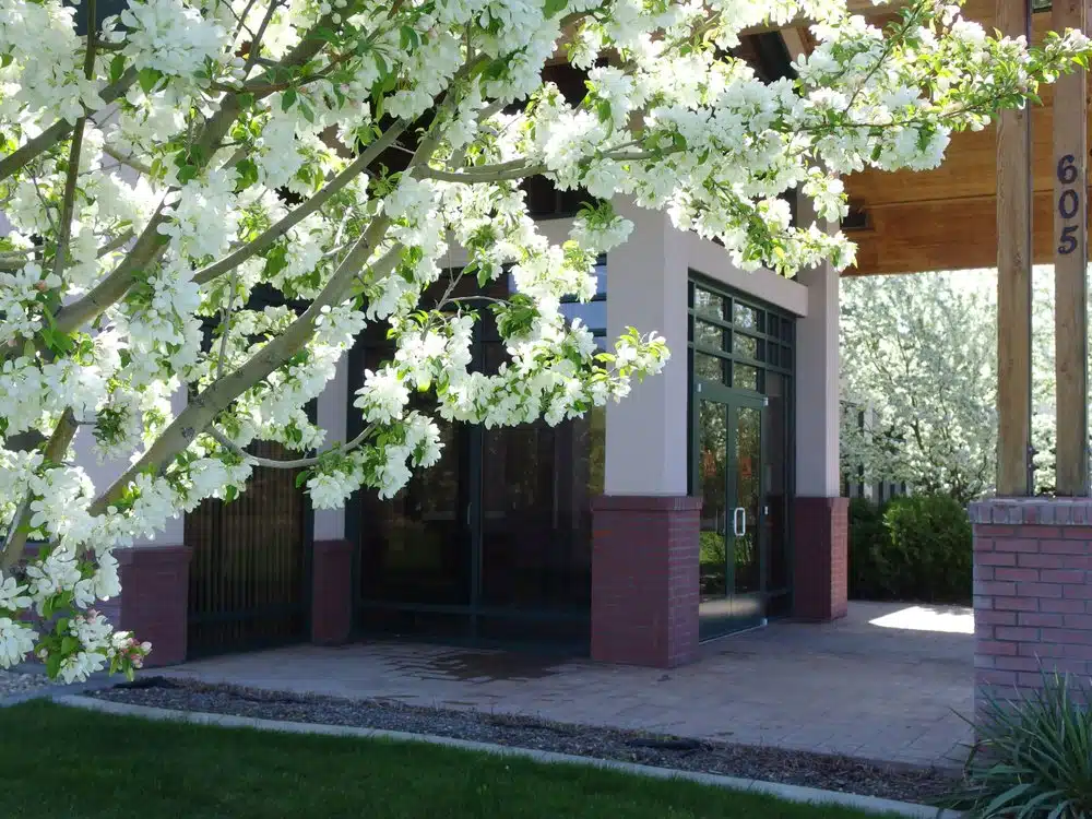 Walker Center - Thumbnail 4