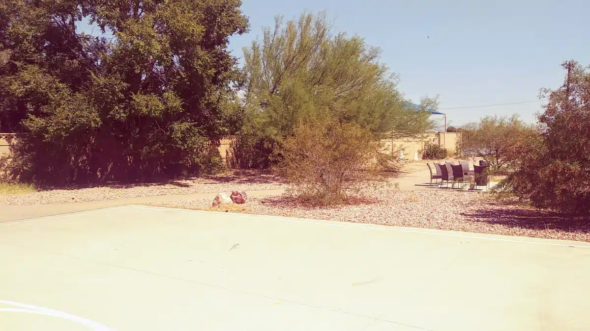 WestCare Nevada Inc - Thumbnail 3