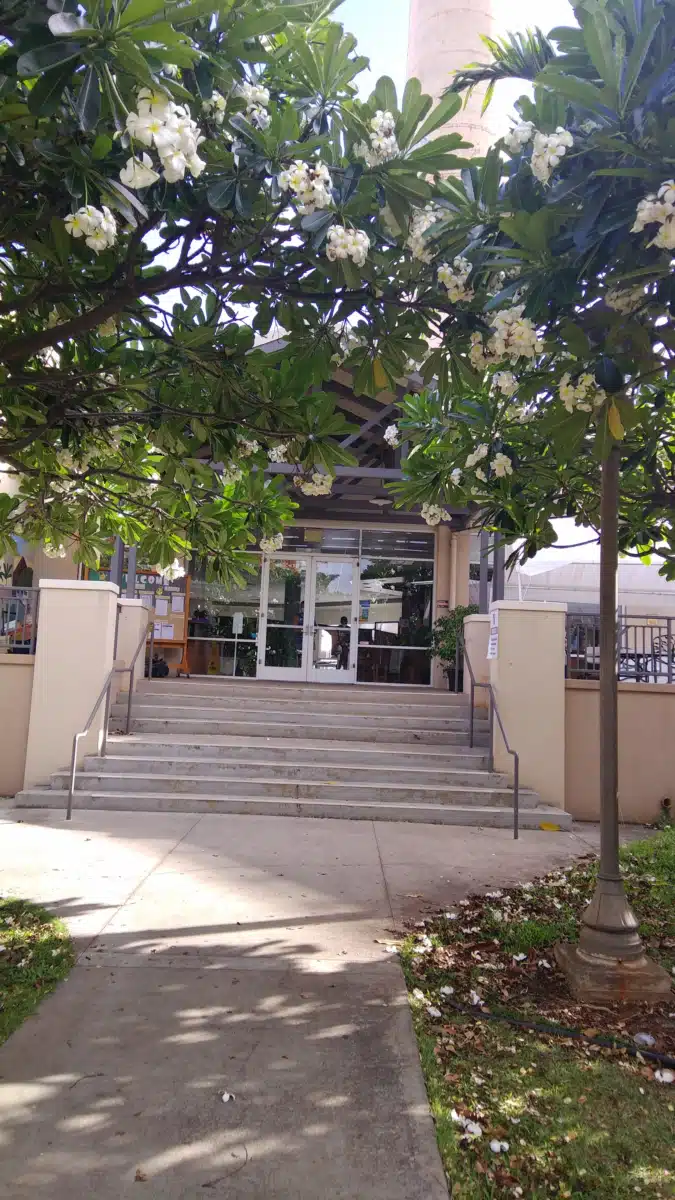 YMCA of Honolulu - Thumbnail 3